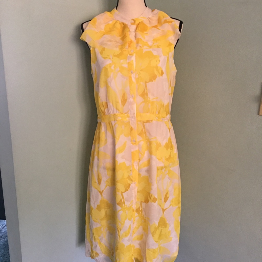 🆕 Banana Republic Dress